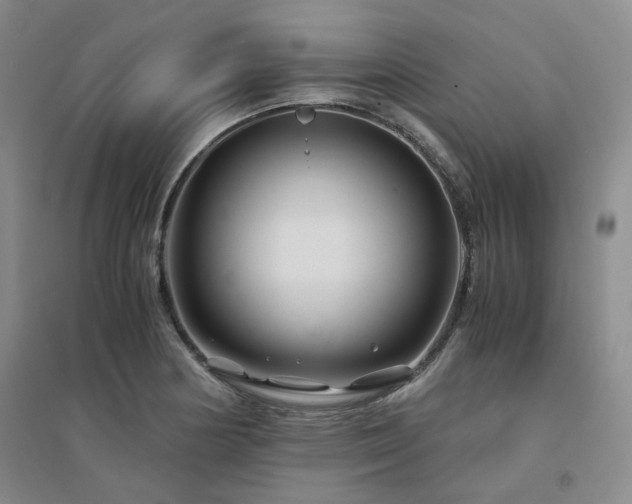 X0000094431178200711151335