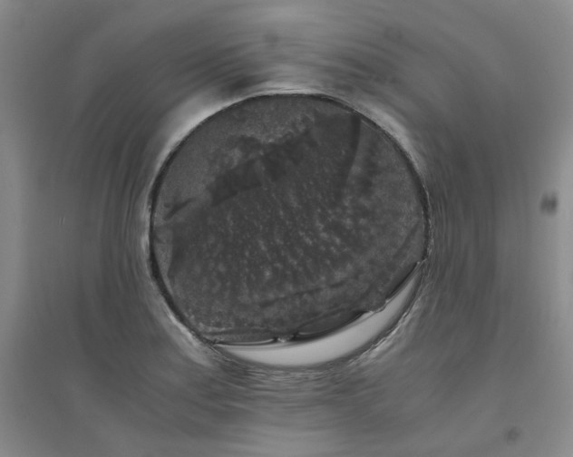 X0000094431179200711151335