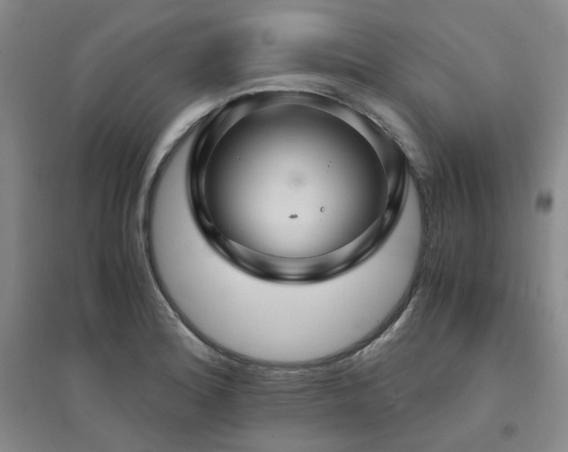 X0000094431180200711151335