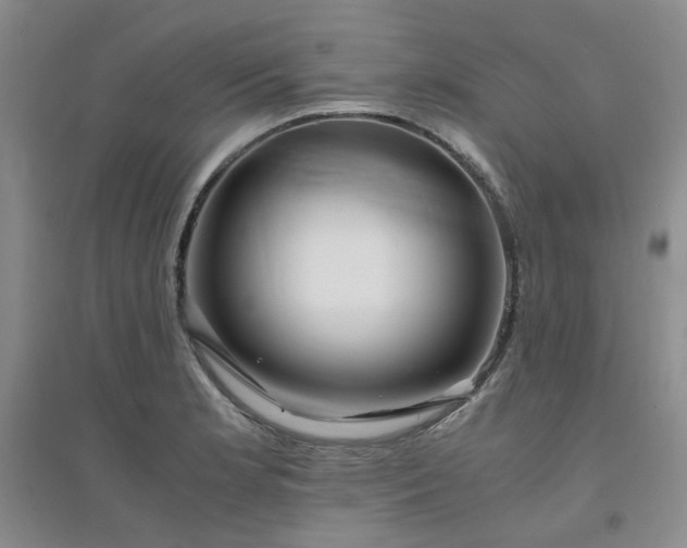 X0000094431181200711151335