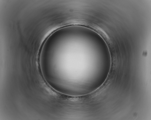 X0000094431182200711151335