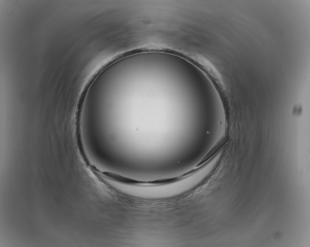 X0000094431183200711151335