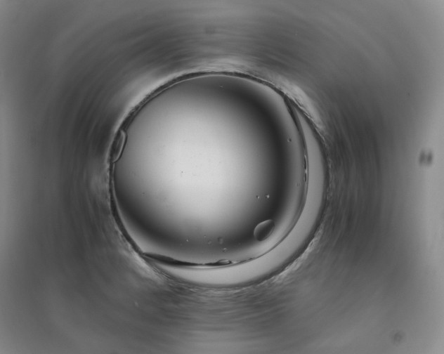 X0000094431184200711151335