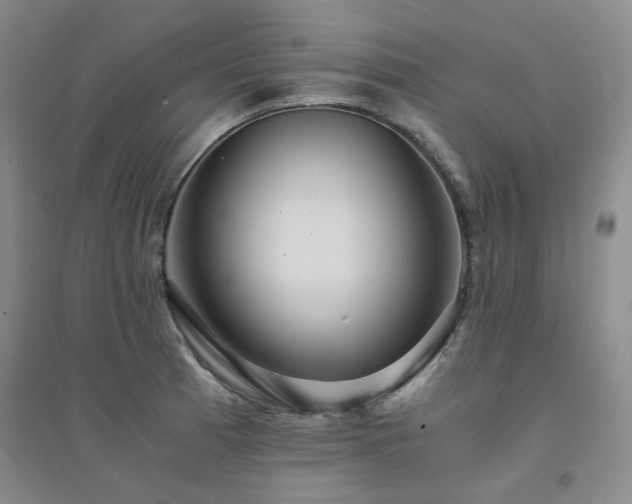 X0000094431185200711151335
