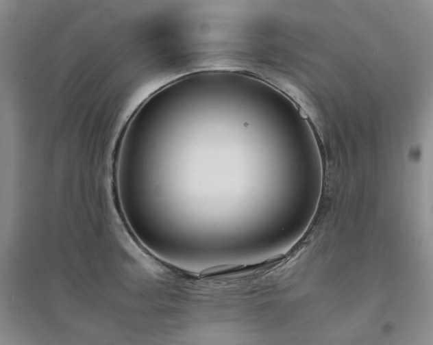 X0000094431187200711151335