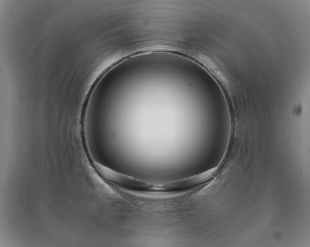 X0000094431189200711151335