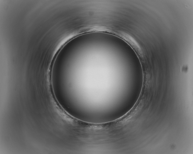X0000094431190200711151335