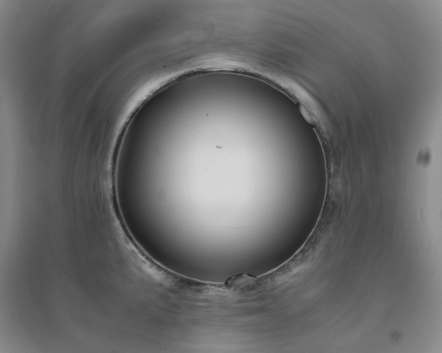X0000094431191200711151335