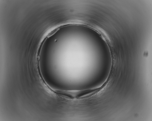 X0000094431192200711151335