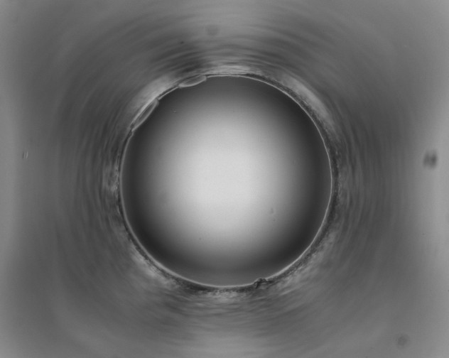 X0000094431193200711151335
