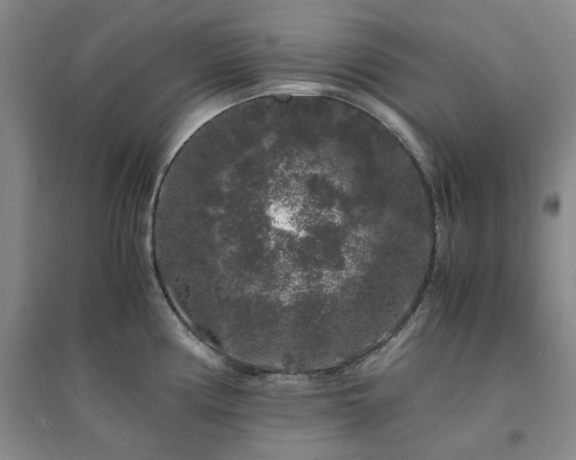 X0000094431194200711151335