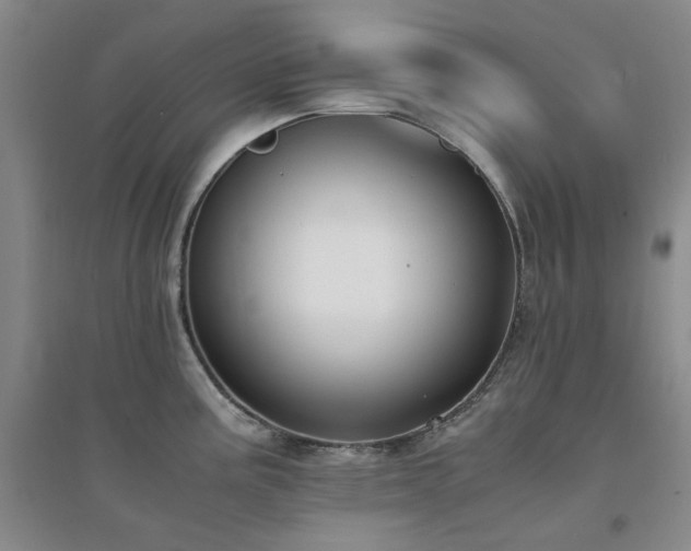 X0000094431195200711151335