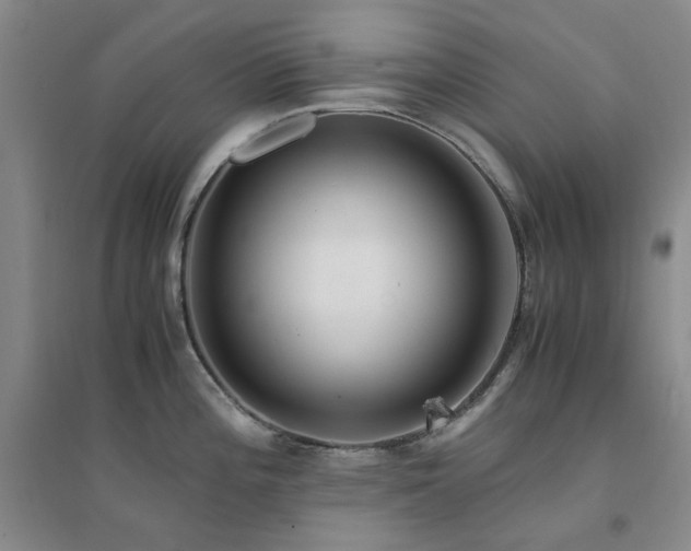 X0000094431196200711151335