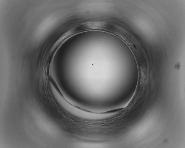 X0000094431198200711151335