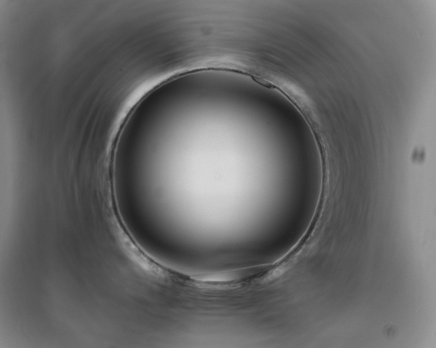 X0000094431200200711151335