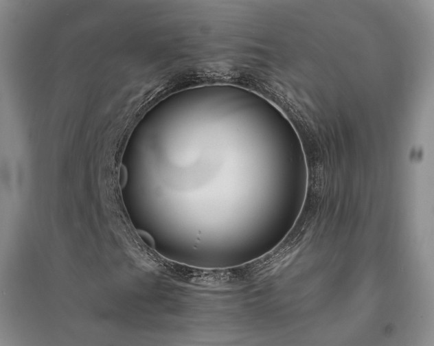 X0000094431201200711151334