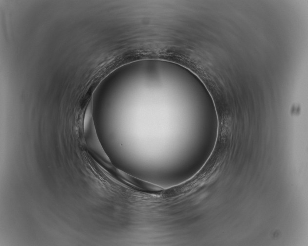 X0000094431202200711151334
