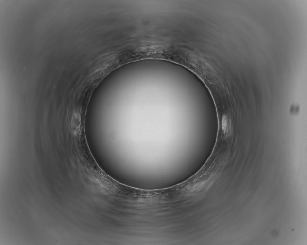 X0000094431203200711151335