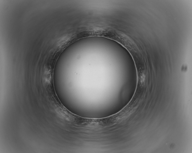 X0000094431204200711151335