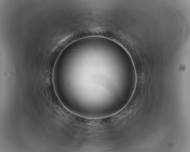 X0000094431205200711151335