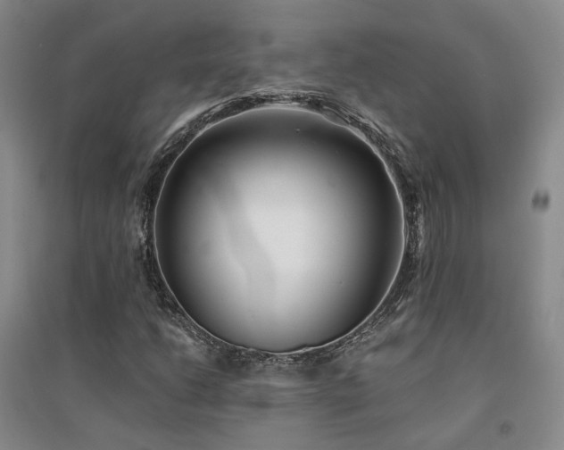 X0000094431206200711151335
