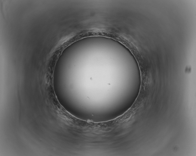 X0000094431207200711151335