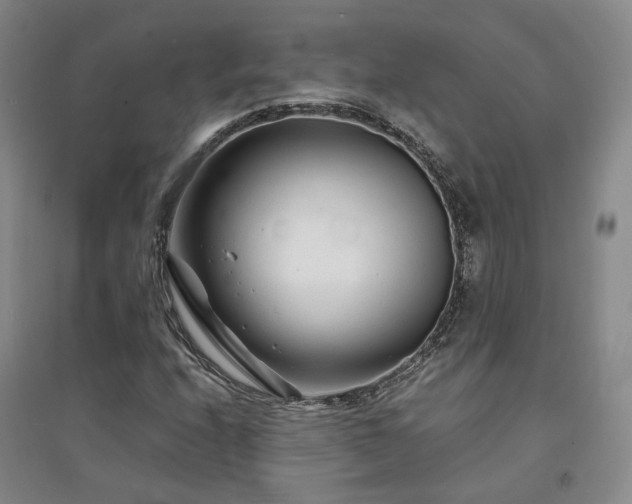 X0000094431208200711151335