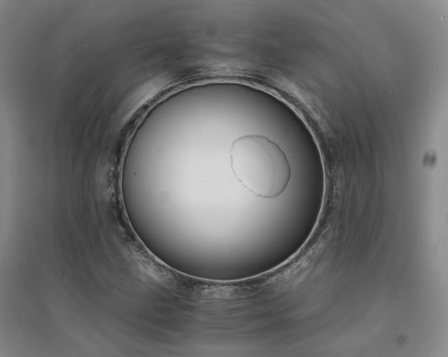 X0000094431211200711151335