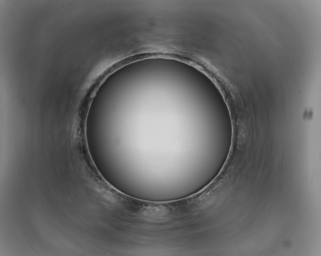 X0000094431215200711151335