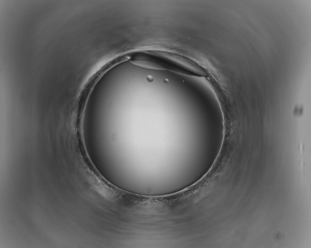 X0000094431216200711151335