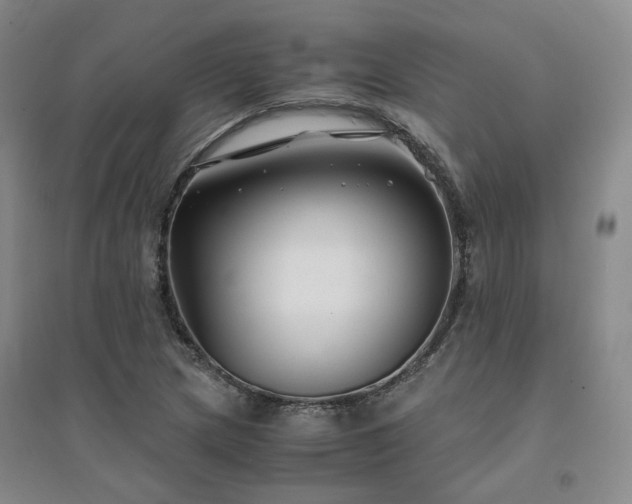 X0000094431217200711151335