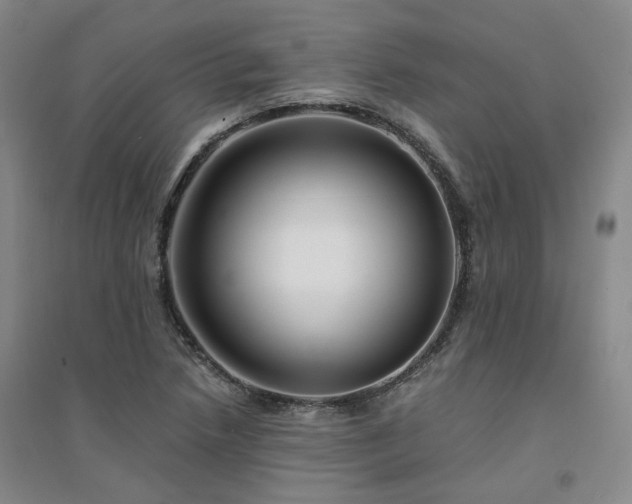 X0000094431218200711151335