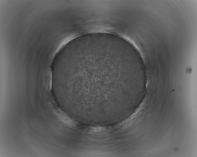 X0000094431219200711151335