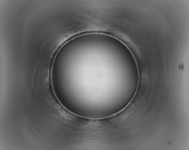 X0000094431220200711151335