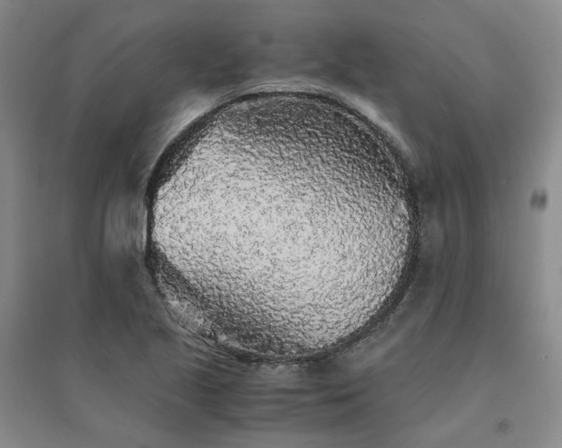 X0000094431221200711151335