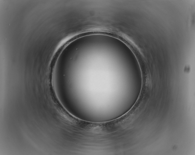 X0000094431222200711151335