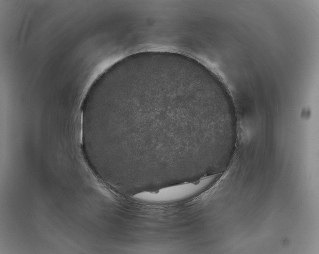 X0000094431223200711151335
