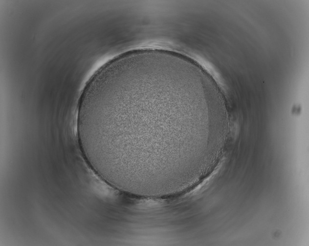 X0000094431224200711151335