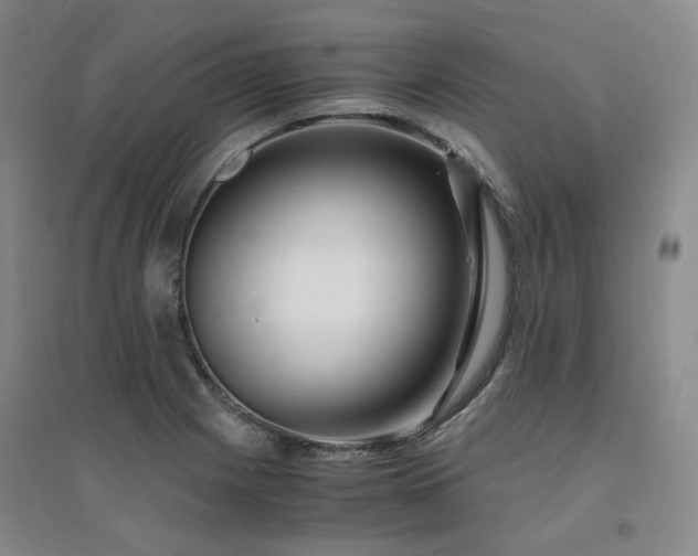 X0000094431225200711151335