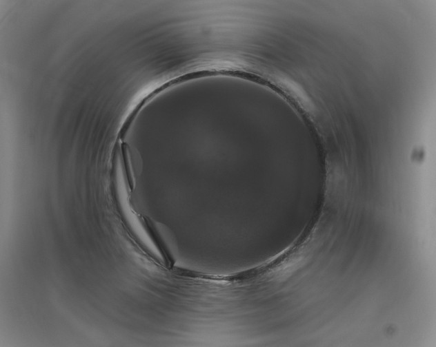 X0000094431226200711151335