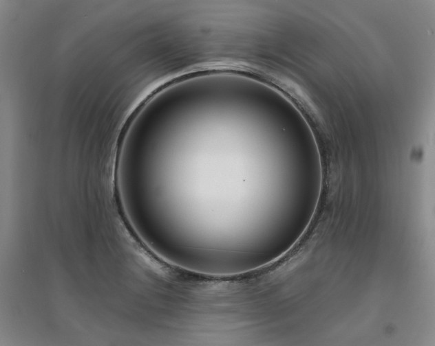 X0000094431228200711151335