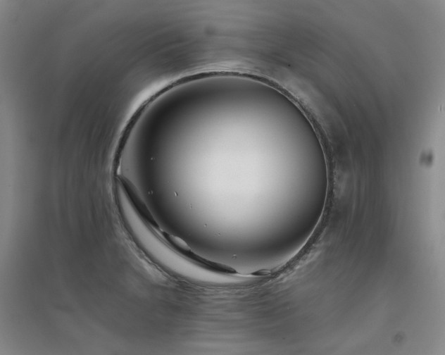 X0000094431230200711151335