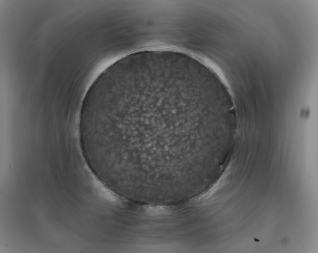 X0000094431231200711151335
