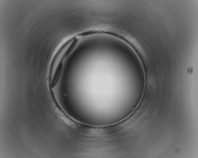 X0000094431232200711151335