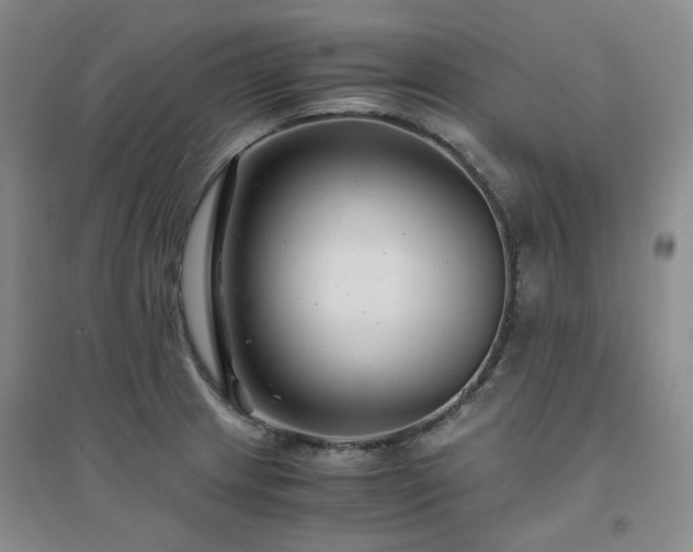 X0000094431233200711151335
