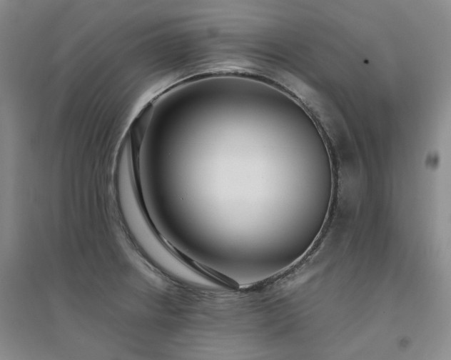X0000094431234200711151335