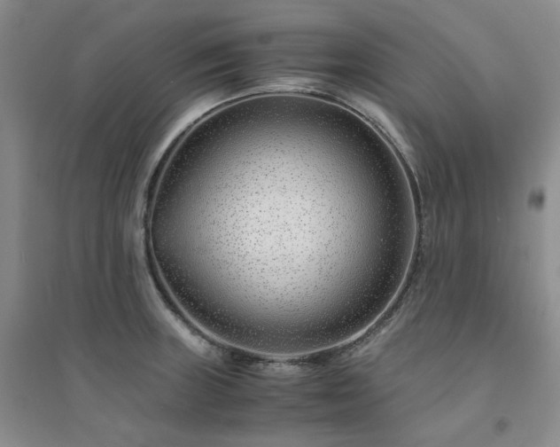 X0000094431235200711151335