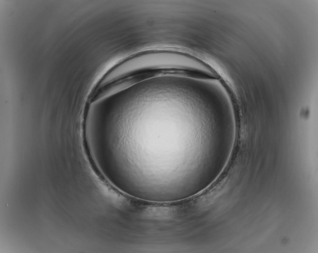 X0000094431237200711151335