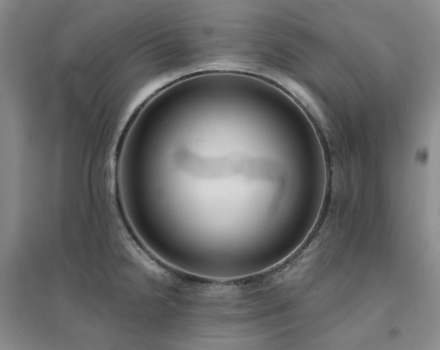 X0000094431238200711151335