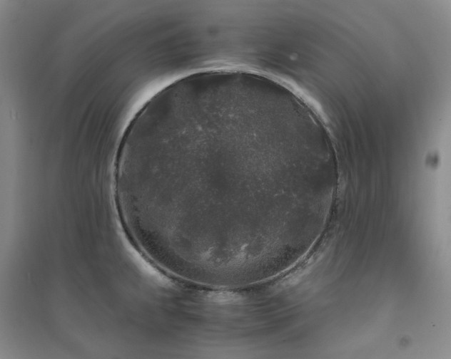 X0000094431239200711151335